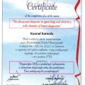 Powiększ obraz: certificate 4