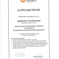Powiększ obraz: certificate 10