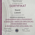Powiększ obraz: certificate 2