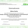 Powiększ obraz: certificate 43
