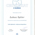 Powiększ obraz: certificate 9