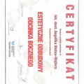 Powiększ obraz: certificate 3