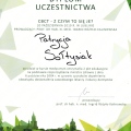 Powiększ obraz: certificate 4