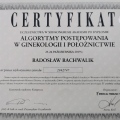 Powiększ obraz: certificate 7