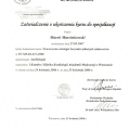 Powiększ obraz: certificate 2