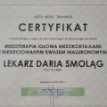 Powiększ obraz: certificate 2