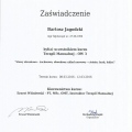 Powiększ obraz: certificate 4