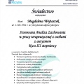 Powiększ obraz: certificate 5