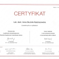Powiększ obraz: certificate 13