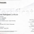 Powiększ obraz: certificate 29