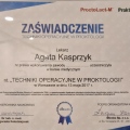 Powiększ obraz: certificate 50