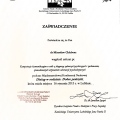 Powiększ obraz: certificate 21
