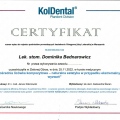 Powiększ obraz: certificate 5