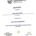 Powiększ obraz: certificate 17