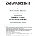 Powiększ obraz: certificate 2