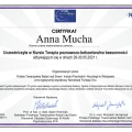 Powiększ obraz: certificate 6