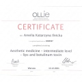 Powiększ obraz: certificate 4