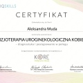 Powiększ obraz: certificate 19