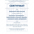 Powiększ obraz: certificate 11