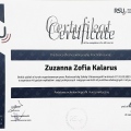 Powiększ obraz: certificate 1