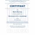 Powiększ obraz: certificate 4