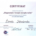 Powiększ obraz: certificate 3