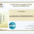 Powiększ obraz: certificate 8