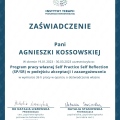 Powiększ obraz: certificate 12