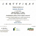 Powiększ obraz: certificate 9