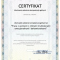 Powiększ obraz: certificate 1