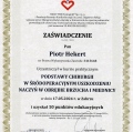 Powiększ obraz: certificate 13