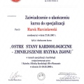 Powiększ obraz: certificate 29