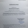 Powiększ obraz: certificate 4