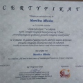 Powiększ obraz: certificate 6