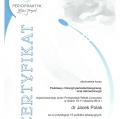 Powiększ obraz: certificate 41