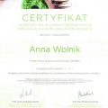 Powiększ obraz: certificate 11