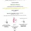Powiększ obraz: certificate 8