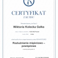 Powiększ obraz: certificate 12