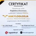 Powiększ obraz: certificate 5