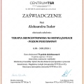Powiększ obraz: certificate 1