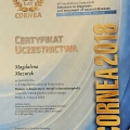 Powiększ obraz: certificate 3