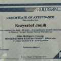 Powiększ obraz: certificate 6