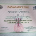 Powiększ obraz: certificate 5