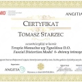 Powiększ obraz: certificate 3