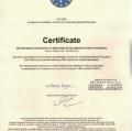Powiększ obraz: certificate 4