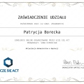 Powiększ obraz: certificate 1