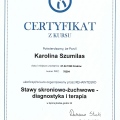 Powiększ obraz: certificate 10