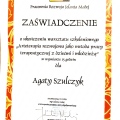 Powiększ obraz: certificate 5