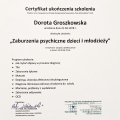 Powiększ obraz: certificate 3