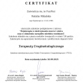 Powiększ obraz: certificate 1